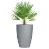 Scheurich Barceo High Stony Grey 299