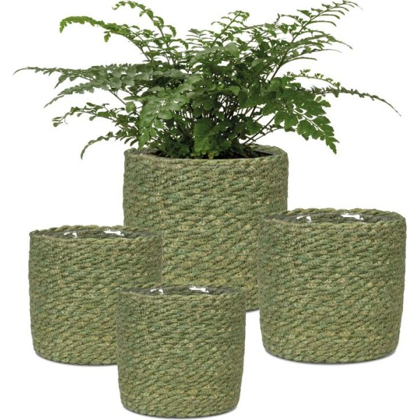 Scheurich Ψάθινο Κασπώ Seagrass Green 508/13 - Image 3