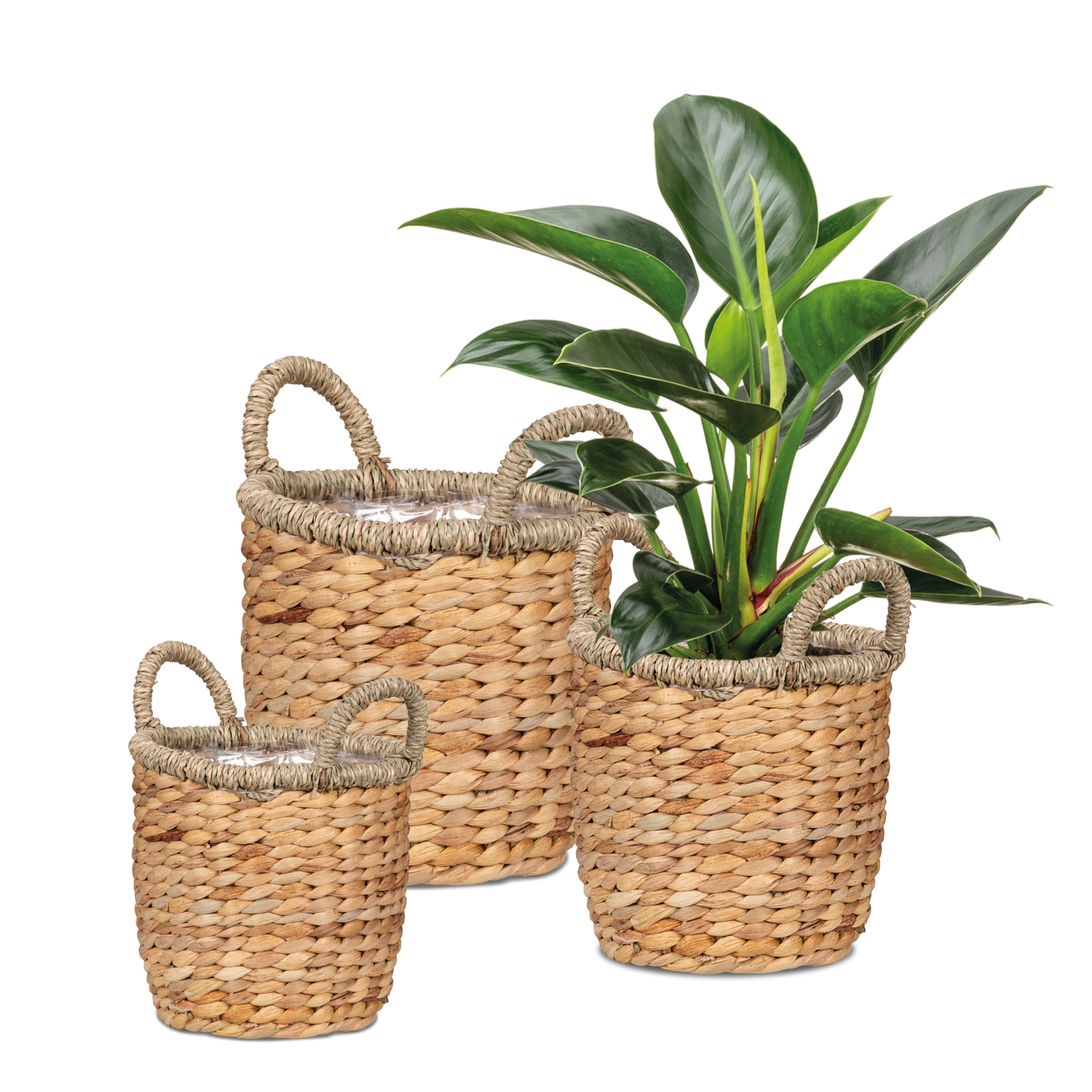 Scheurich Ψάθινο Κασπώ Natural Water Hyacinth Seagrass 506/34 - Image 2