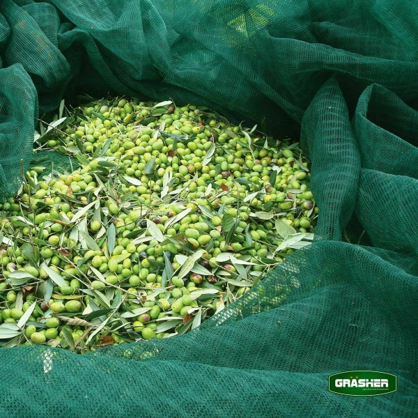 ΕΛΑΙΟΔΙΧΤΟ GRASHER 6*12m Πυκνότητας 90gr/m² - Image 5