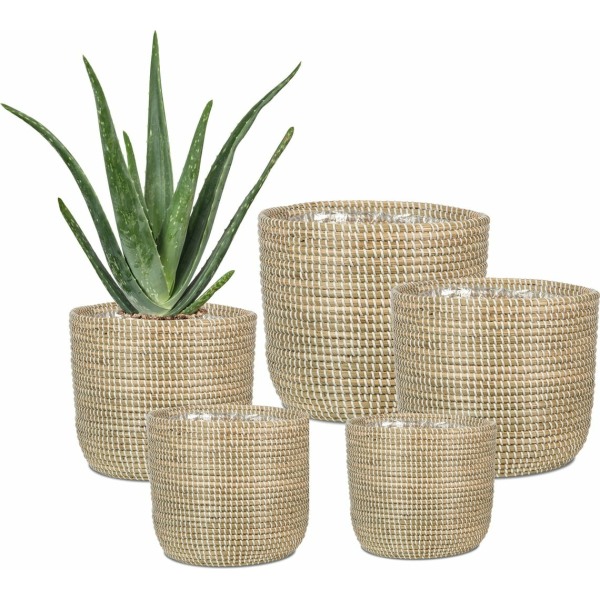 Scheurich Ψάθινο Κασπώ Seagrass White 513/15 - Image 3