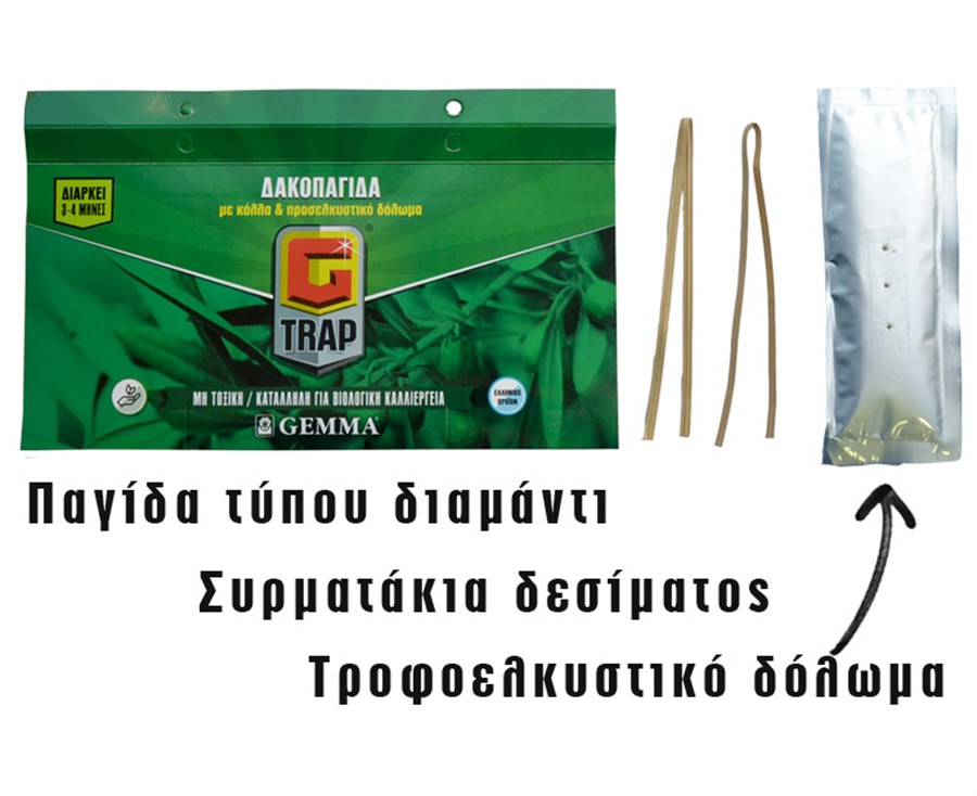 Δακοπαγίδα Τύπου Διαμάντι G-Trap 1τμχ - Image 3